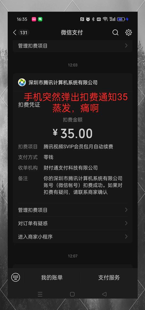 京东 JD 自动视频会员 500元 秒到账