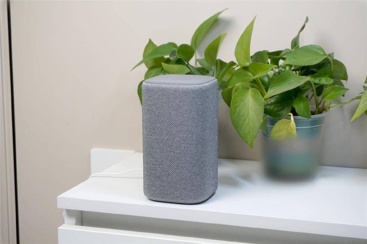 小米 Xiaomi 正品虚拟物品 1000元 24小时服务